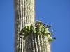 P1020110.JPG